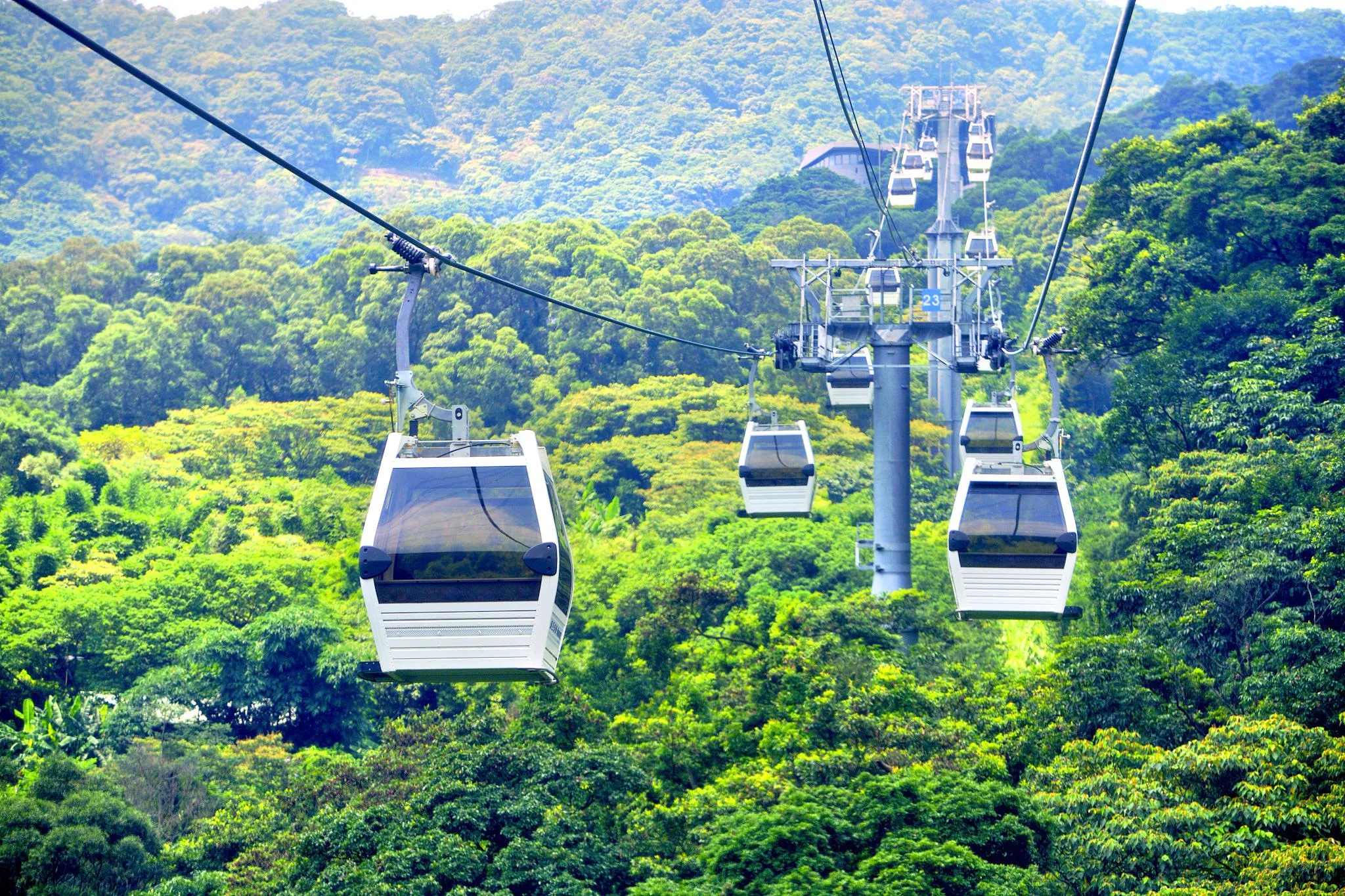 Taipei 5-Day Journey of Culture, Nature, and Cuisine fxcf9w