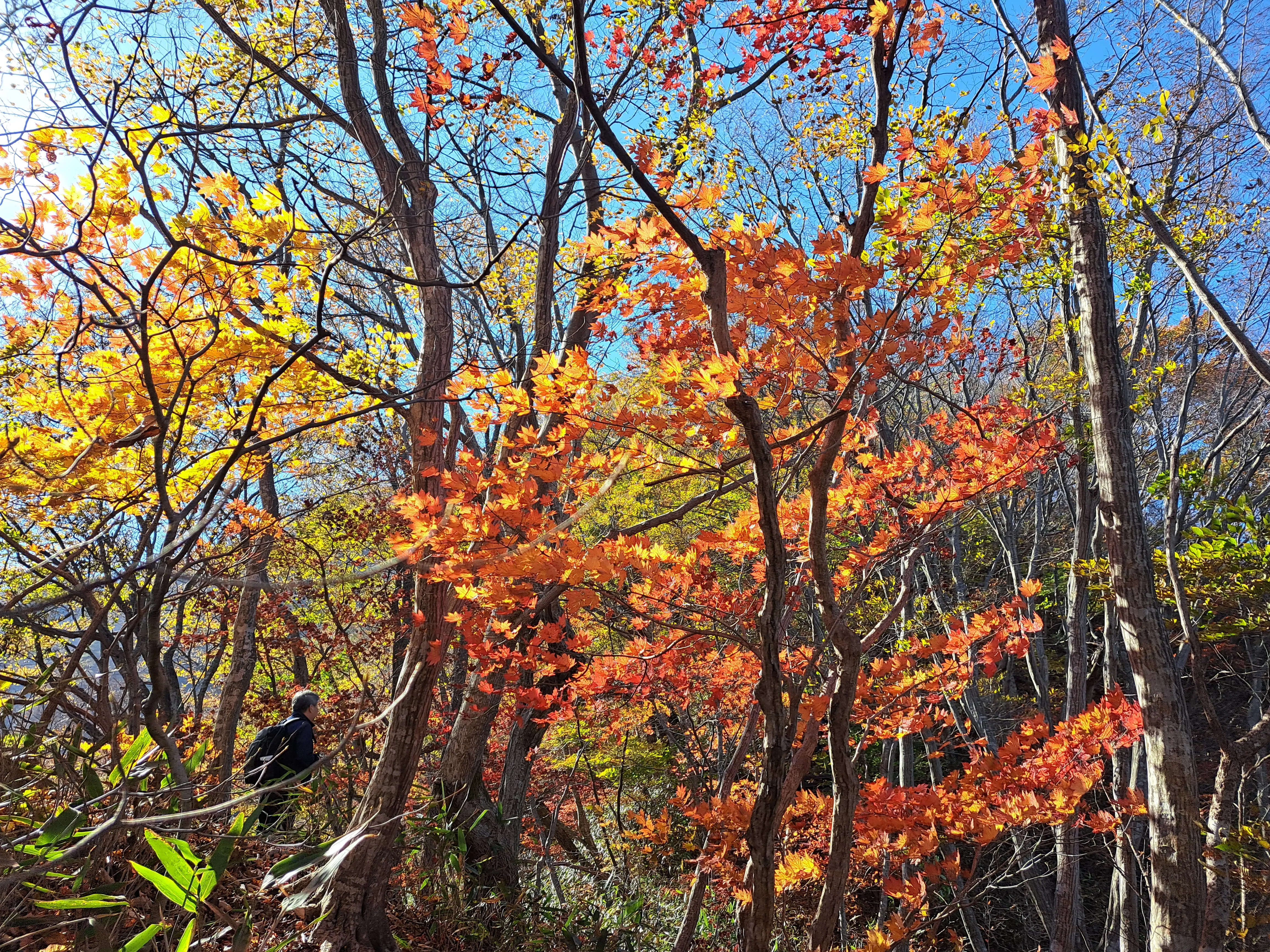 Around mainland Korea in 2 weeks (with 4 National Parks) iqfso0
