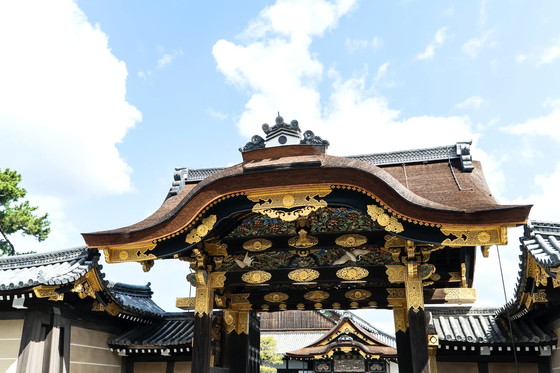A Journey Through Time and Beauty: Three Unforgettable Days in Kyoto o549q8