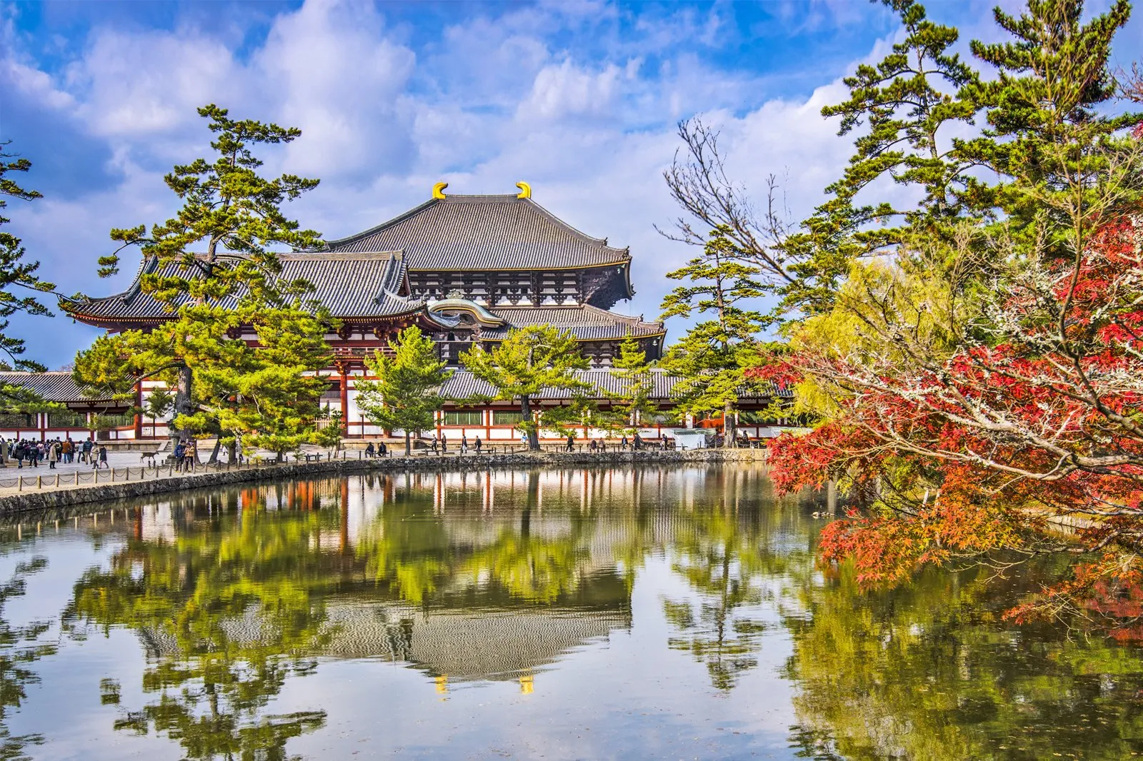 @yvnyingg  Ultimate Osaka and Kyoto Itinerary rtd1ac