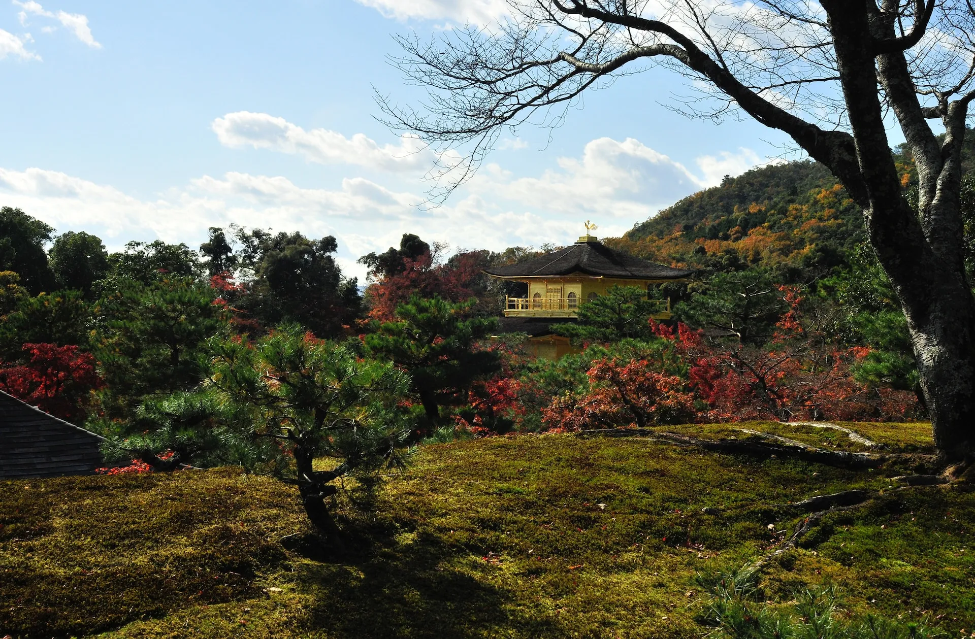 A Journey Through Time and Tradition: Four Days in Kyoto rroqur