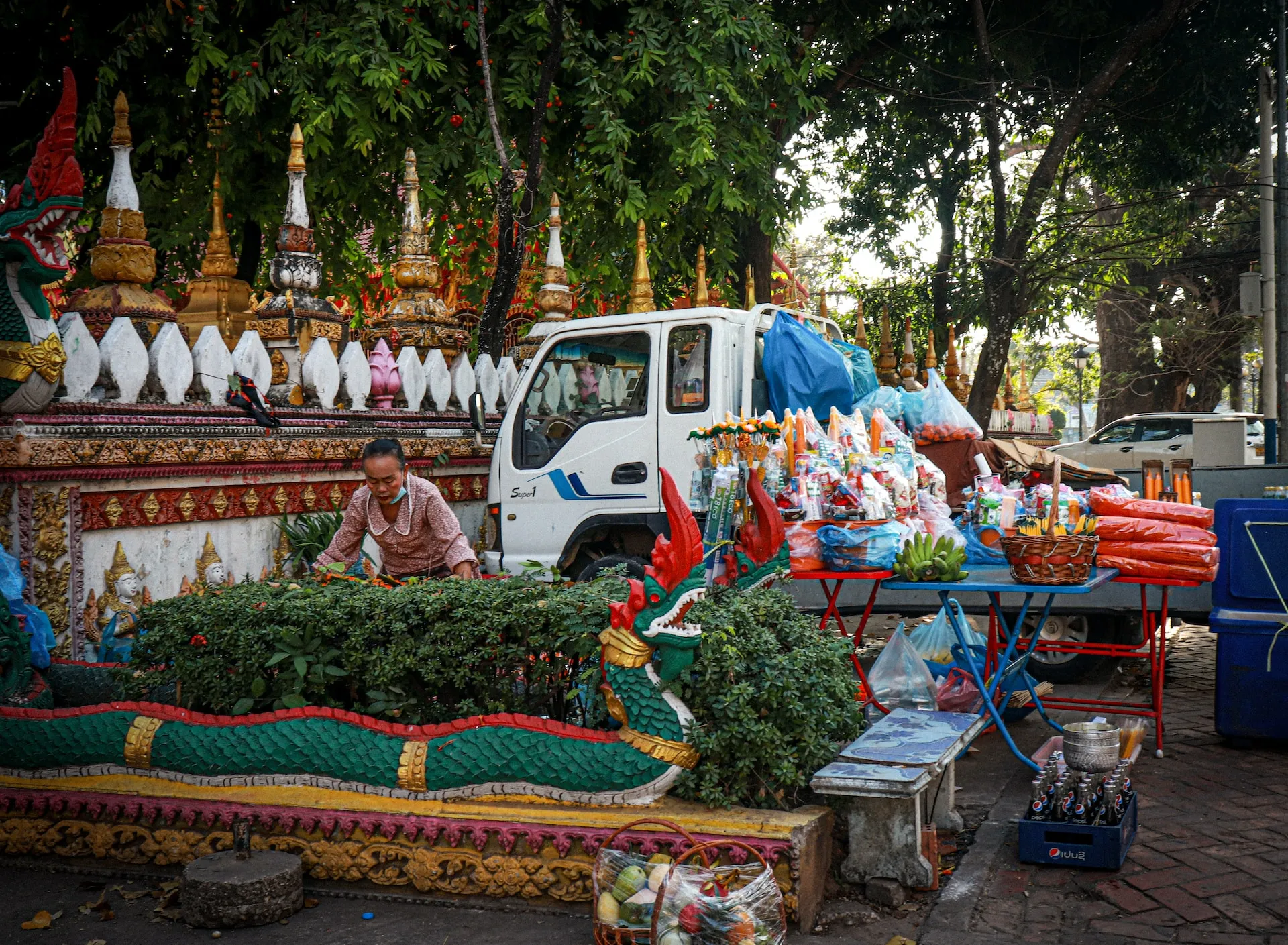2 days Journey Through the Heart of Vientiane: Discovering its Culture, Beauty, and Charm dk7f93
