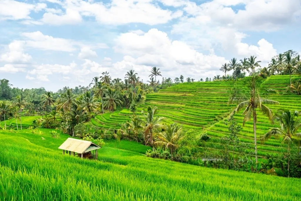The Perfect 3 Days Itinerary for Bali 6ufpjx