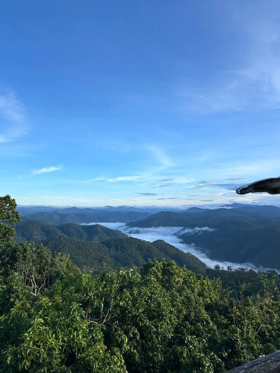 @yvnyigg Ultimate 3D2N Nature Adventure in Dalat gtgelc