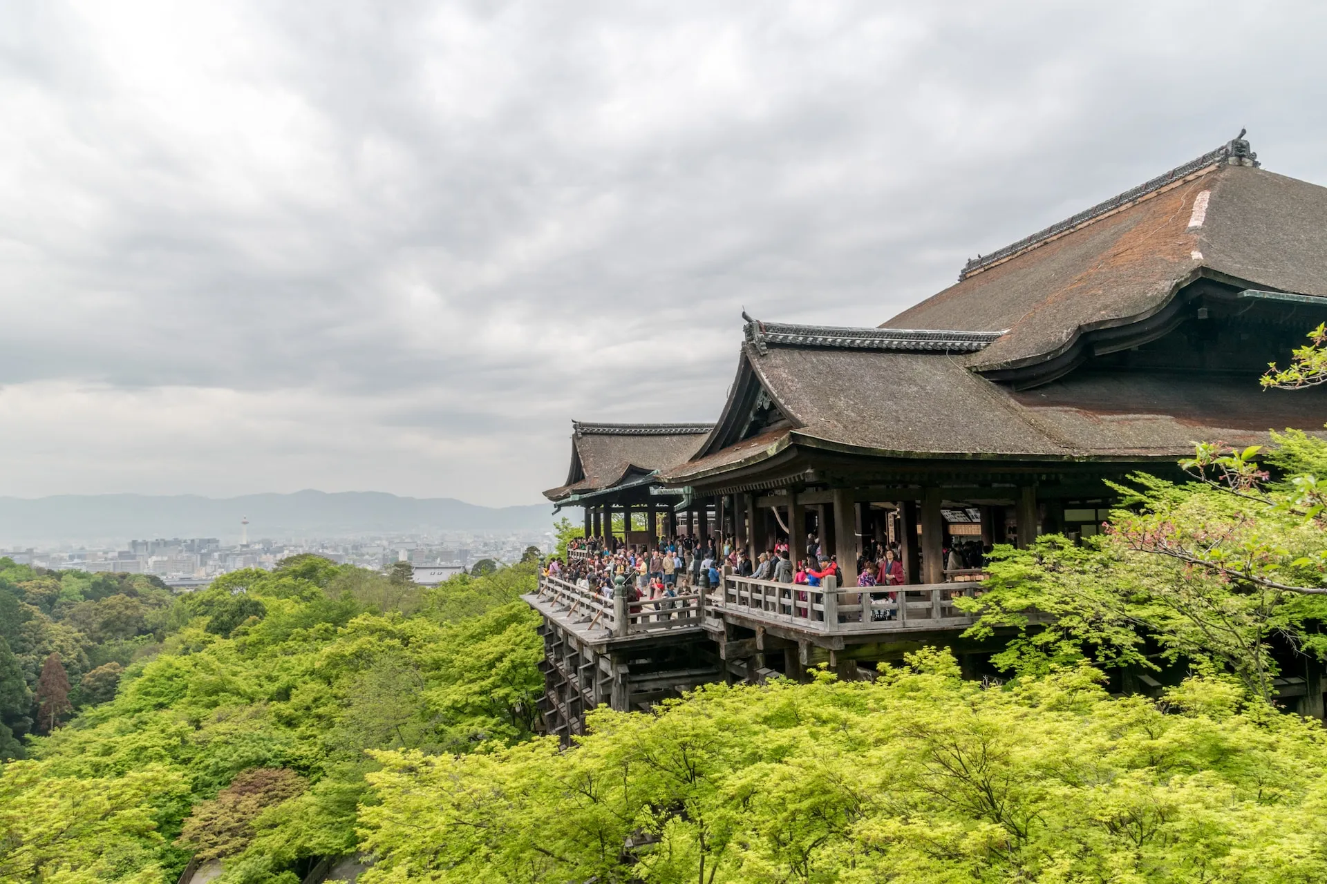 2 Day Kyoto Itinerary: Best Things to Do With Local Tips 2qp54e