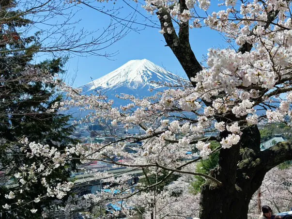  One day In Fujikawaguchiko & Fujiyoshida, Mt.Fuji view k5pgie