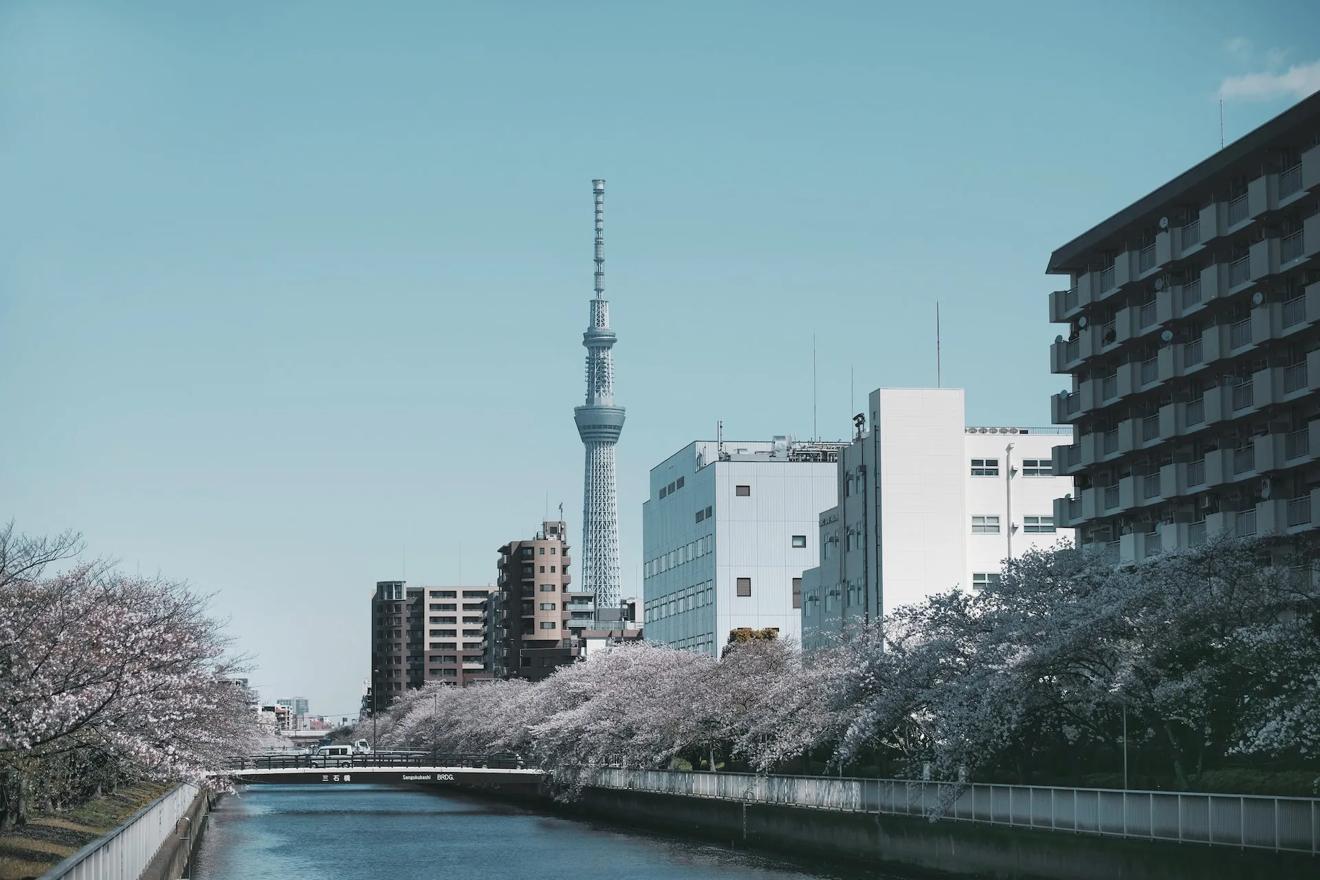 2 Days in Tokyo: Asakusa & Skytree, Tsukiji Bites, teamLab Planets, Shibuya Sky, Harajuku Streets & Shinjuku Nights z87urv