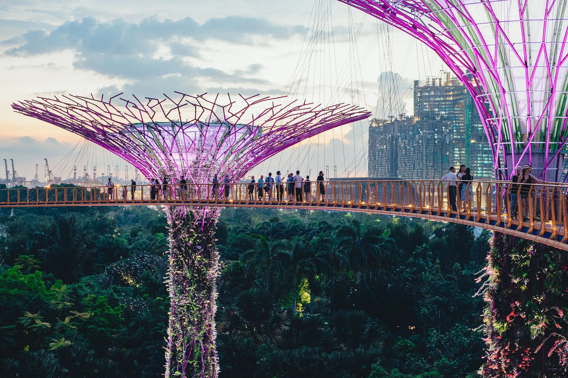 5 Day Singapore Itinerary: Marina Bay Sands & ArtScience Museum, Chinatown Temples + Hawker Centres, Joo Chiat Peranakan Houses, Little India (Mustafa + Tekka), Botanic Gardens, Southern Ridges & Henderson Waves rja4cw