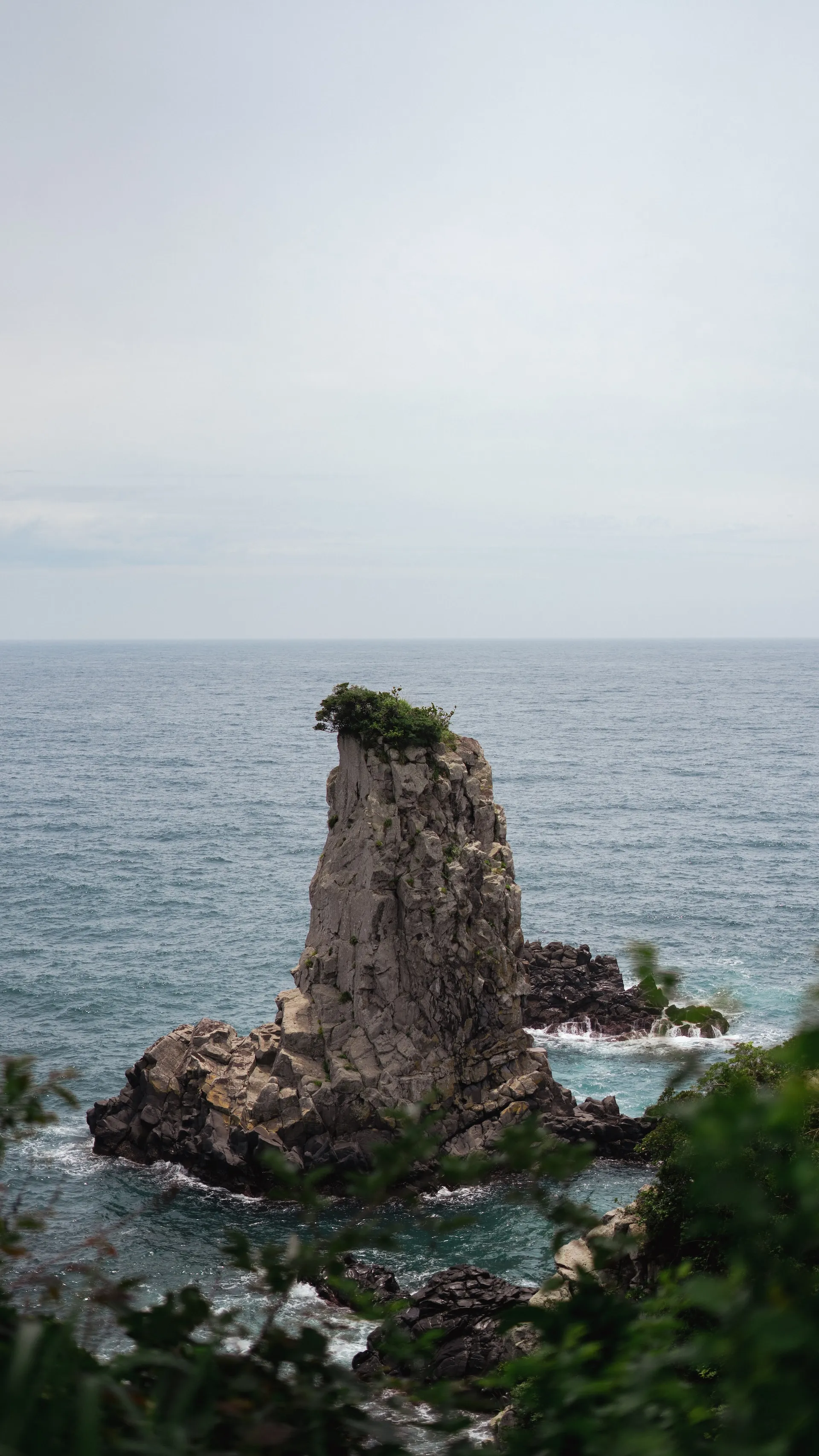 Discovering Jeju's Natural Beauty and Unique Attractions: A 3-Day Adventure ytnjv3