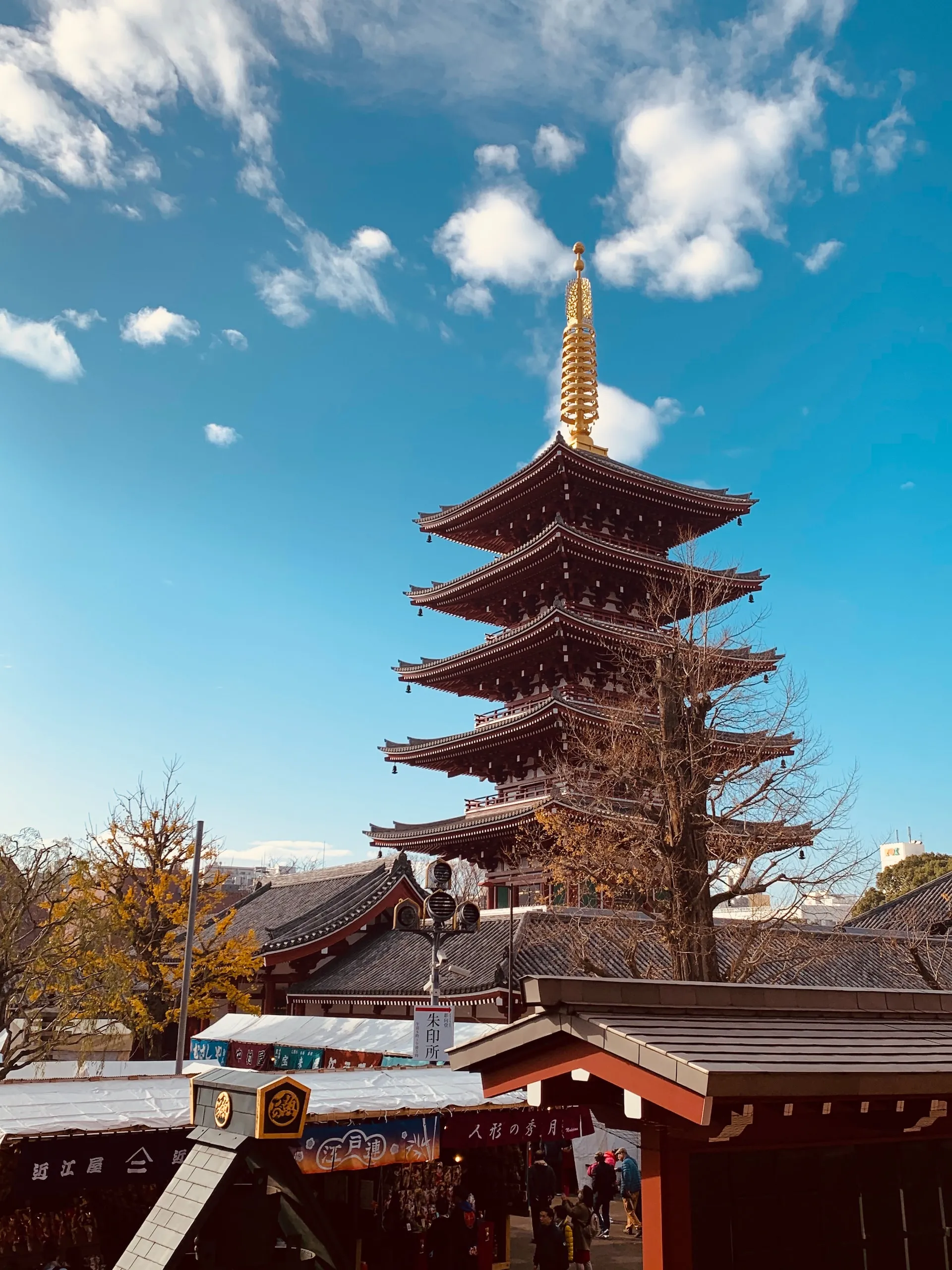 5 Epic Days in Tokyo: Discovering the Best of Japan’s Capital City 7m9hjo
