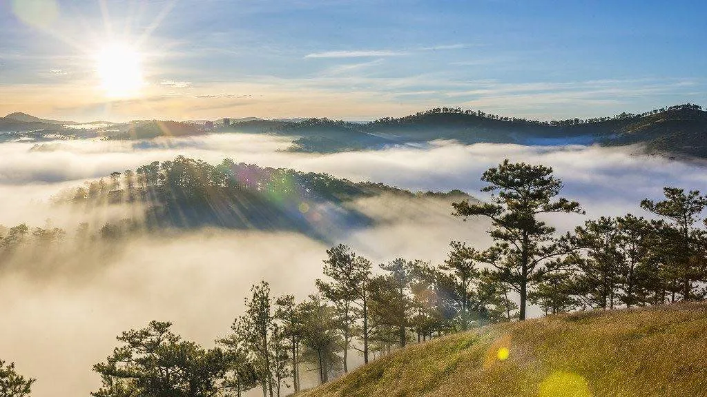 Group Experience: Cloud Hunting Day Tour In Da Lat
