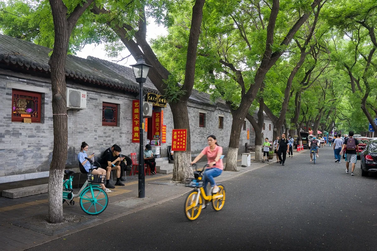 Wandering solo in Beijing 3vn6y6