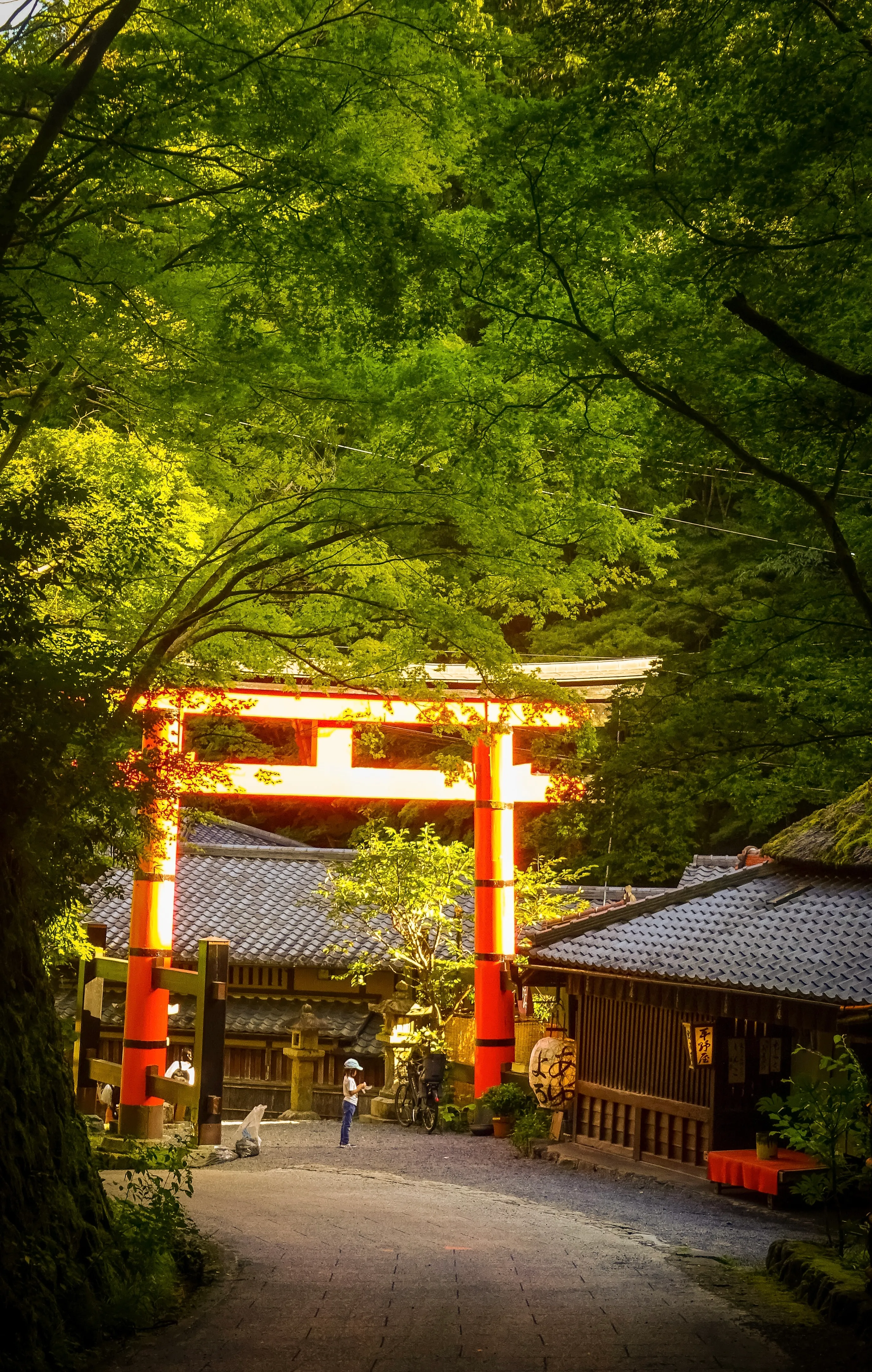 15 jours au Japon – Itinéraire pour un premier voyage offi8x