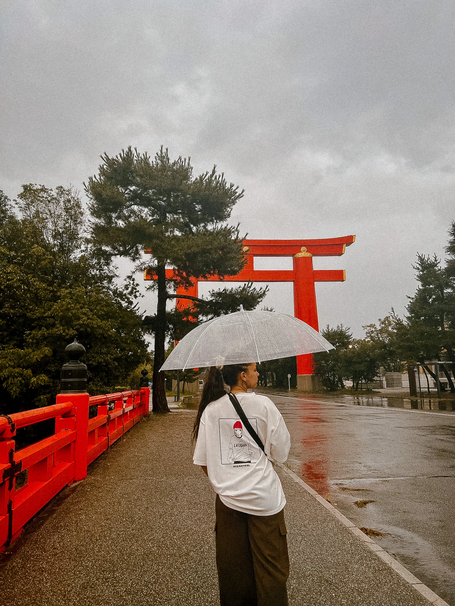 20 days In Japan (First-timer Itinerary) wf9izk