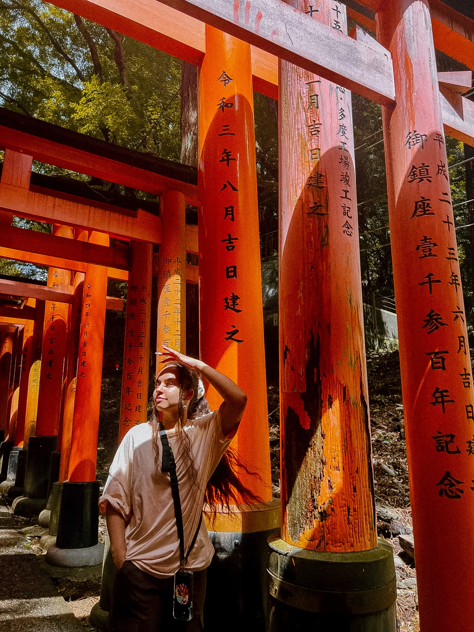 20 jours au Japon – Itinéraire pour un premier voyage e7s14p