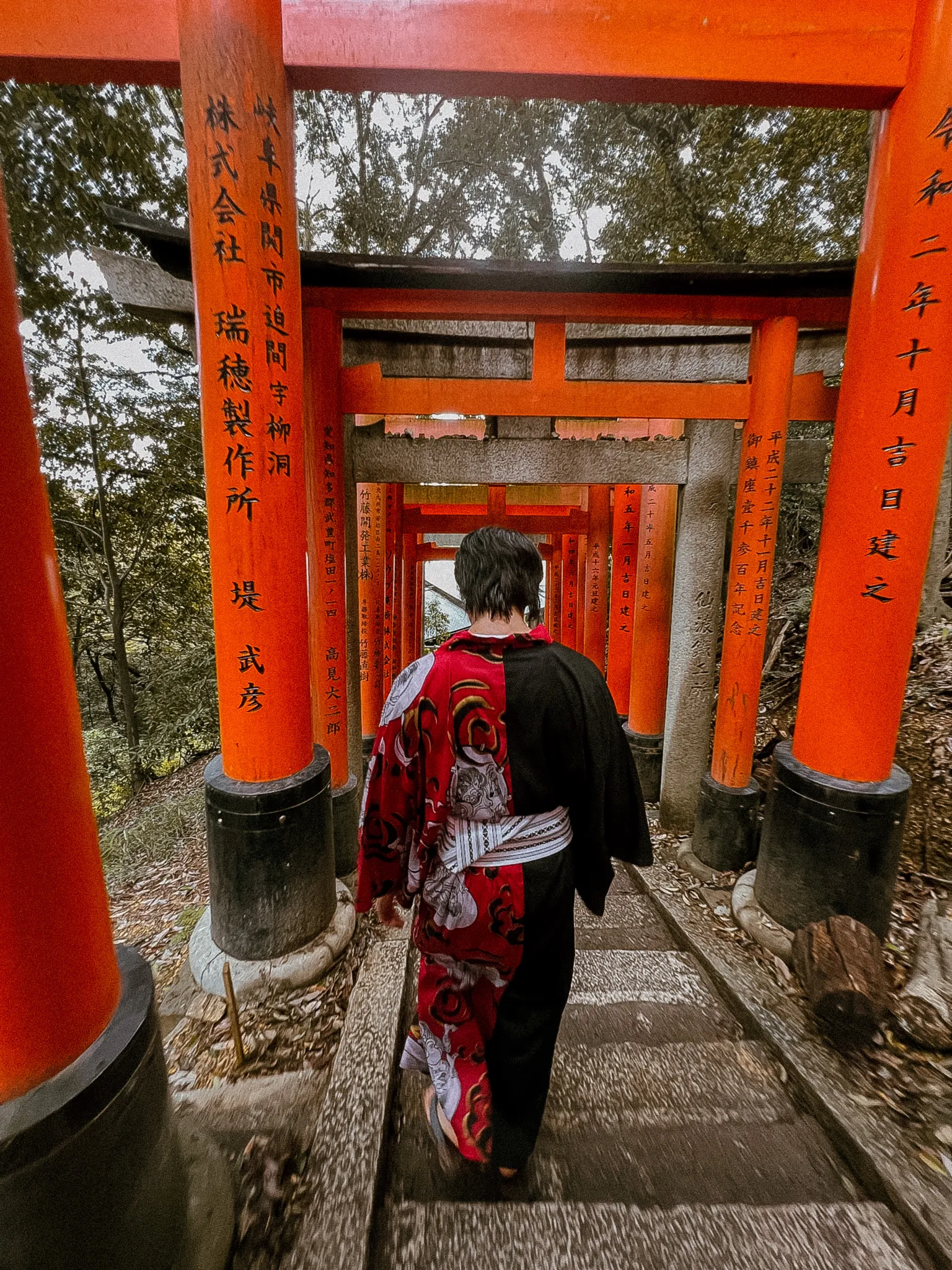 20 days In Japan (First-timer Itinerary) wf9izk