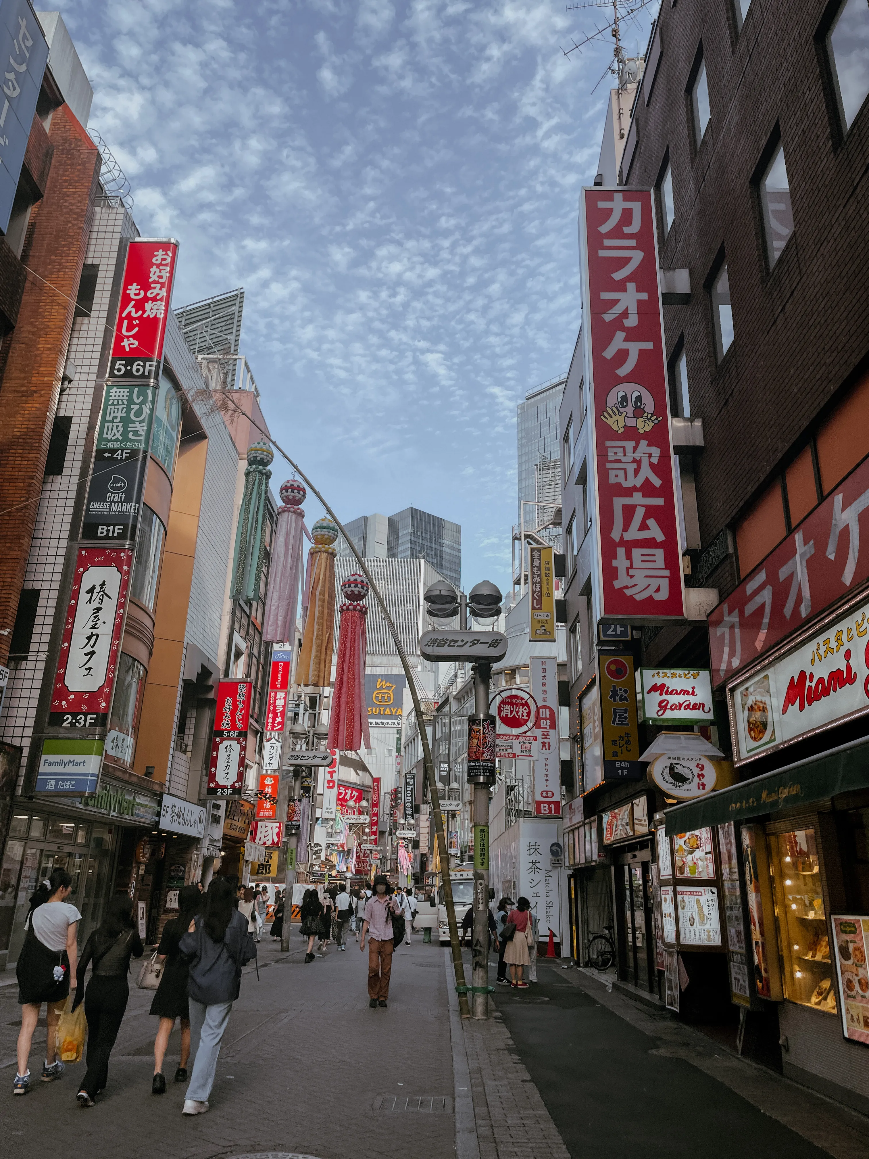  6-Day Tokyo Itinerary (for First-Timers) 8t1r1o