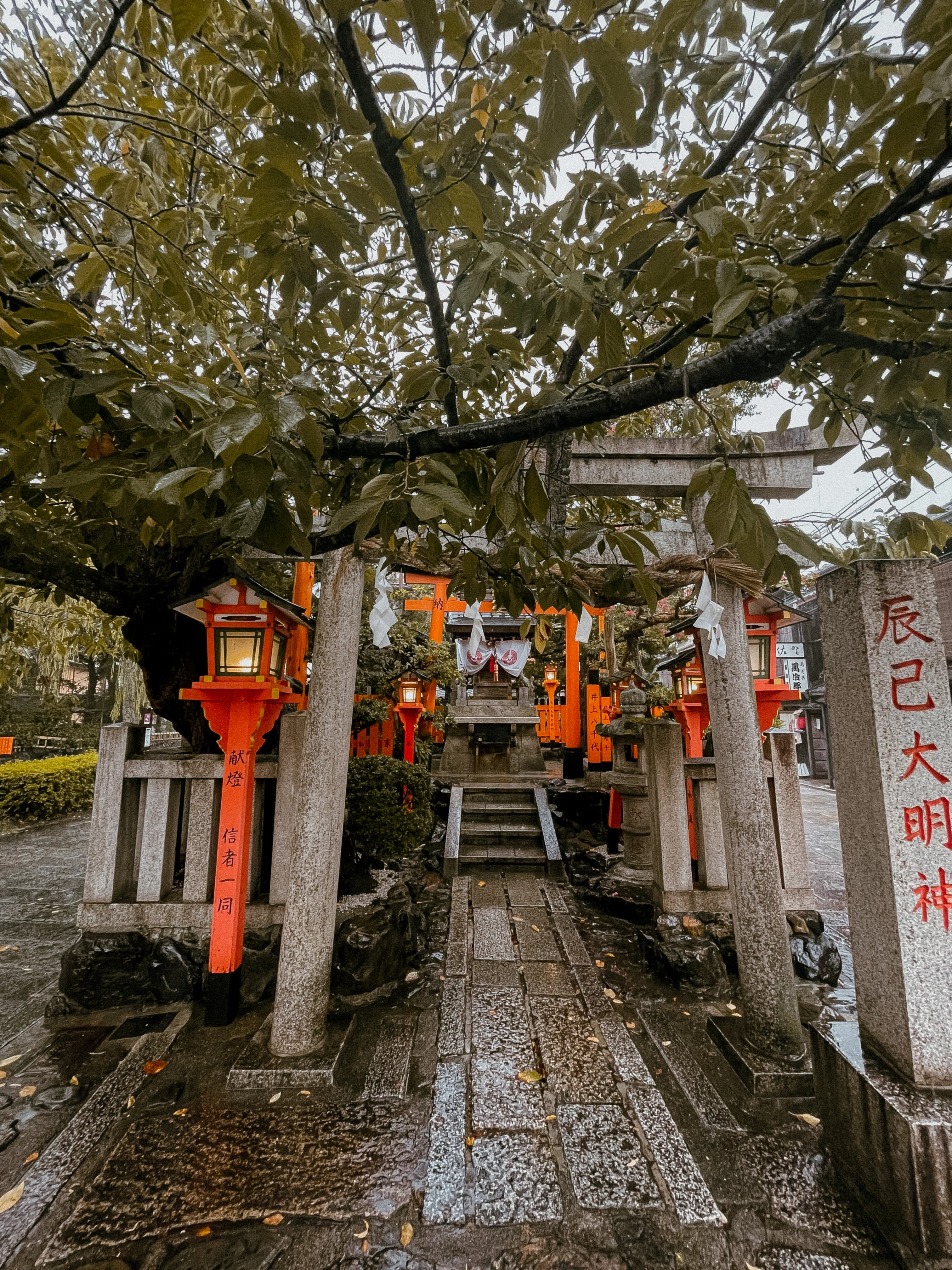 20 days In Japan (First-timer Itinerary) wf9izk