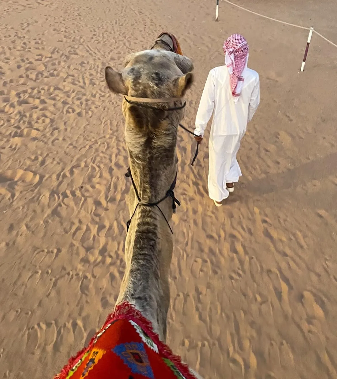 Dune It Right: Family Dubai Trip lc52d8