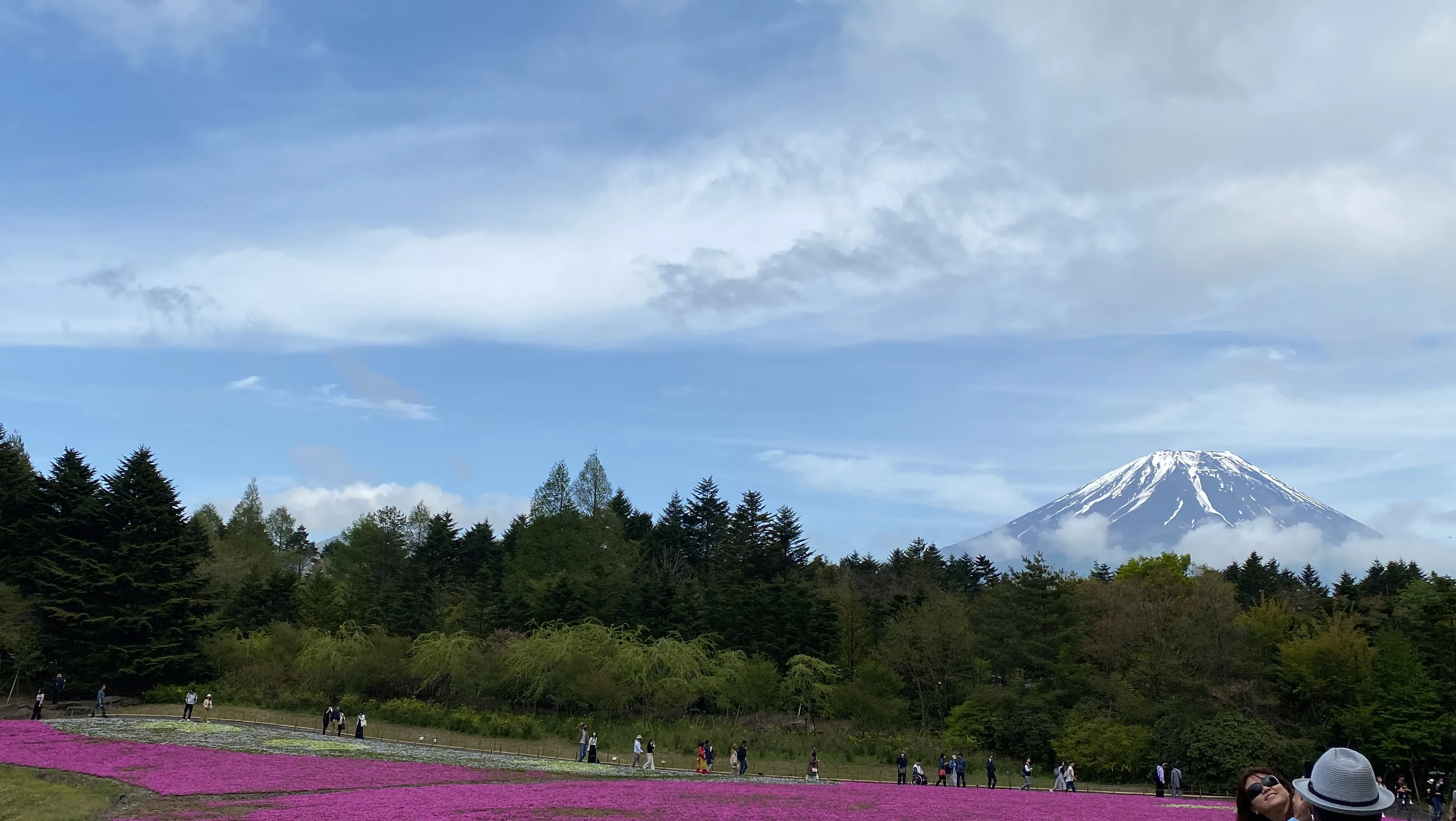 7 Hari Keliling Jepang: Tokyo, Kyoto, Fuji & 2 Theme Park! wa8hnp