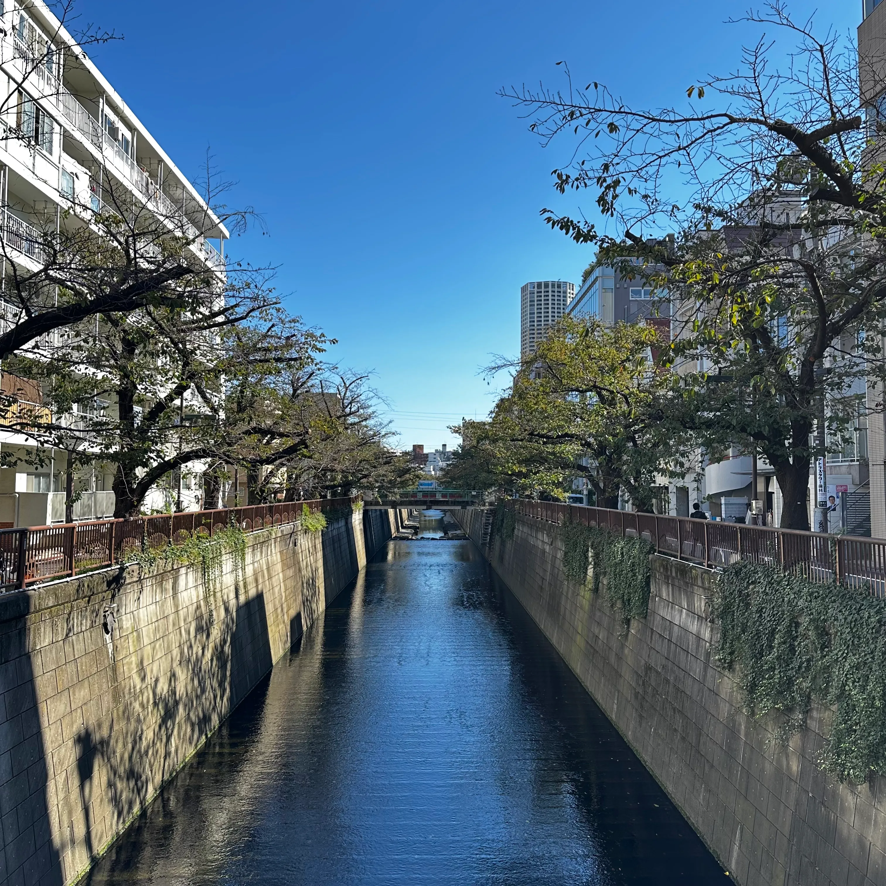@eatzlitz 5D4N Itinerary in Tokyo for First Timers! l9588v
