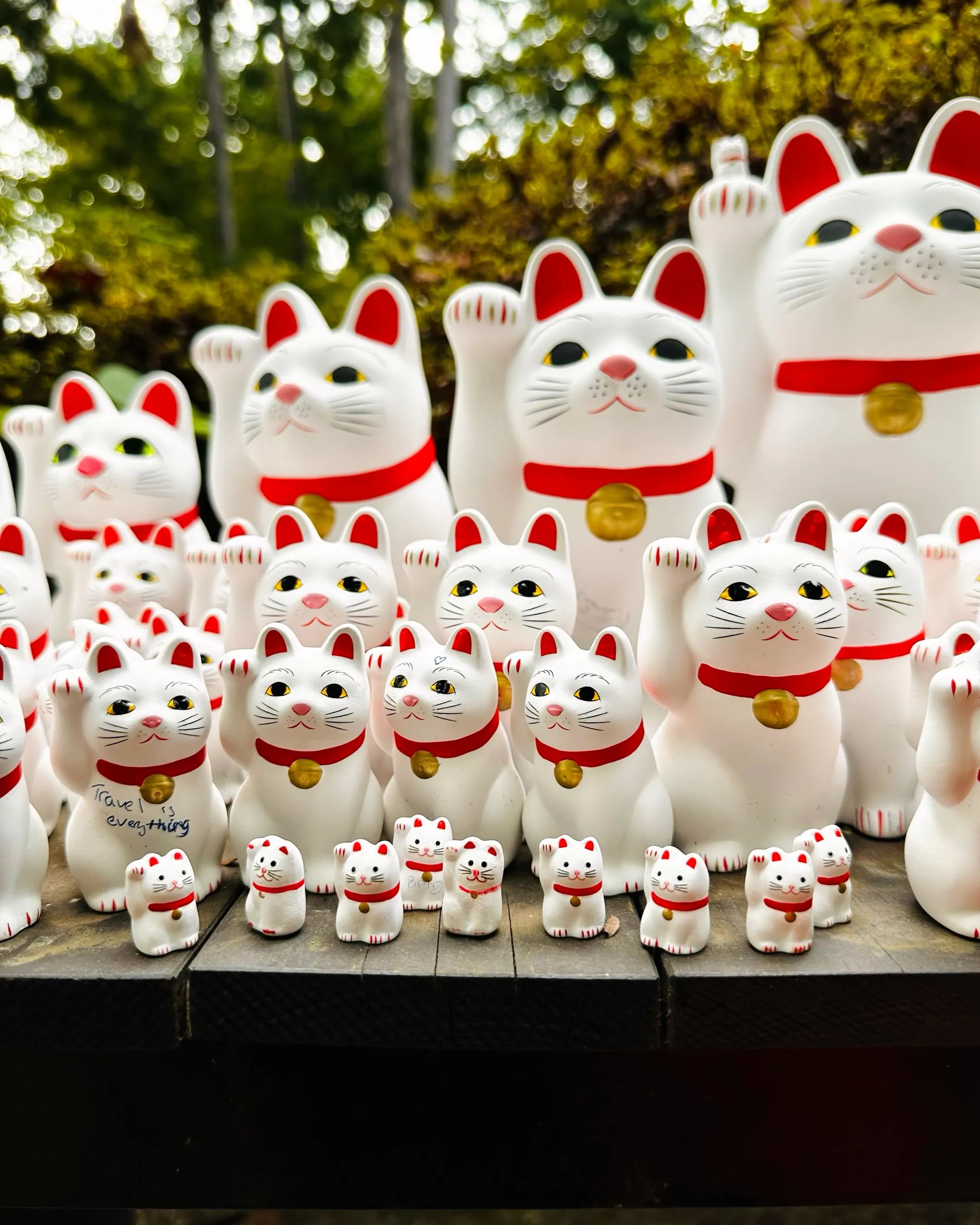@eatzlitz 5D4N Itinerary in Tokyo for First Timers! l9588v