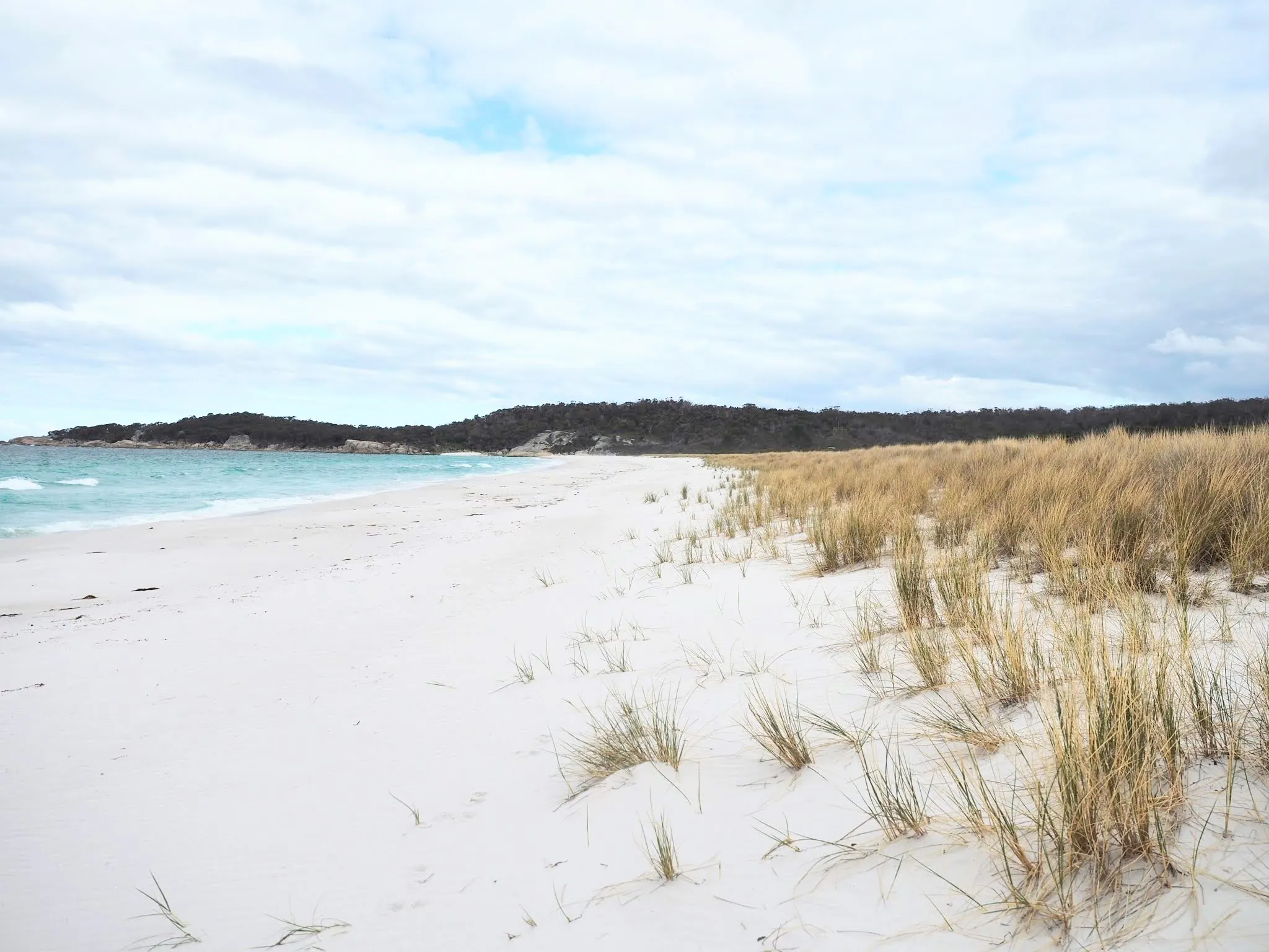 Northern Tasmania Road Trip Itinerary: Penguins, Devils & Stunning Coastal Views o5rfs5