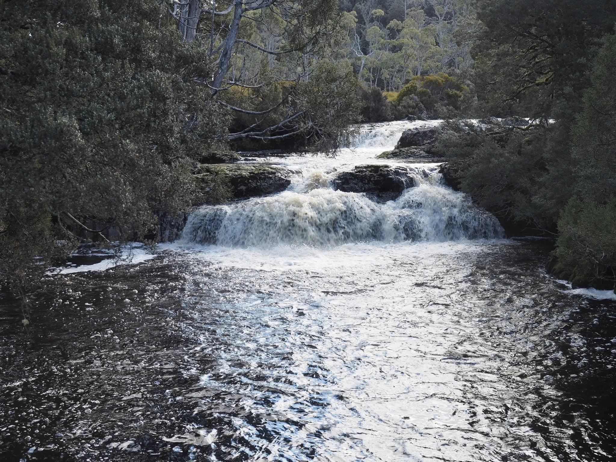 Northern Tasmania Road Trip Itinerary: Penguins, Devils & Stunning Coastal Views o5rfs5