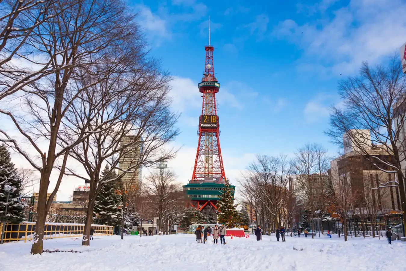 15 days to Tokyo, Sapporo cdt5zg