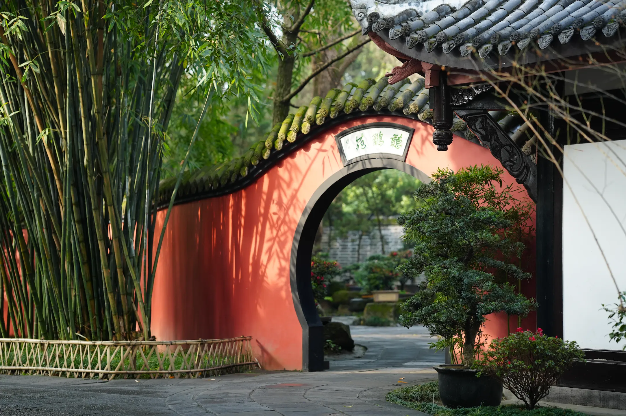 Where to Snap in Chengdu: A Guide for the Camera-Ready Traveler 📸 96f3ek