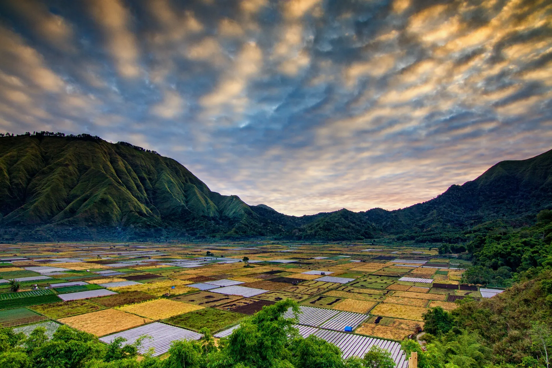 2 days Uncovering the Natural Beauty and Cultural Diversity of Lombok Island vin06z