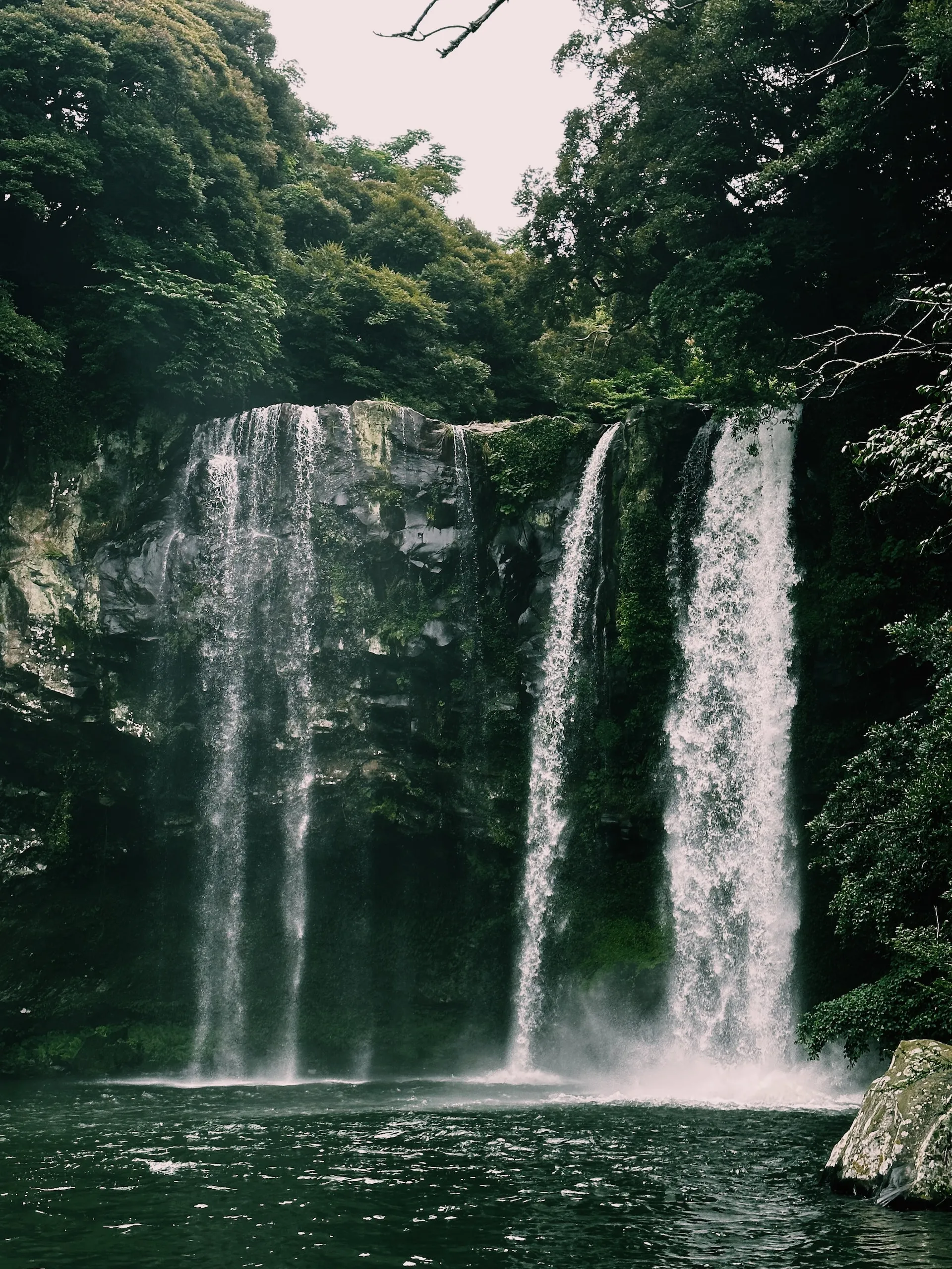 Enchanting Jeju: A Two-Day Island Adventure 741ic6