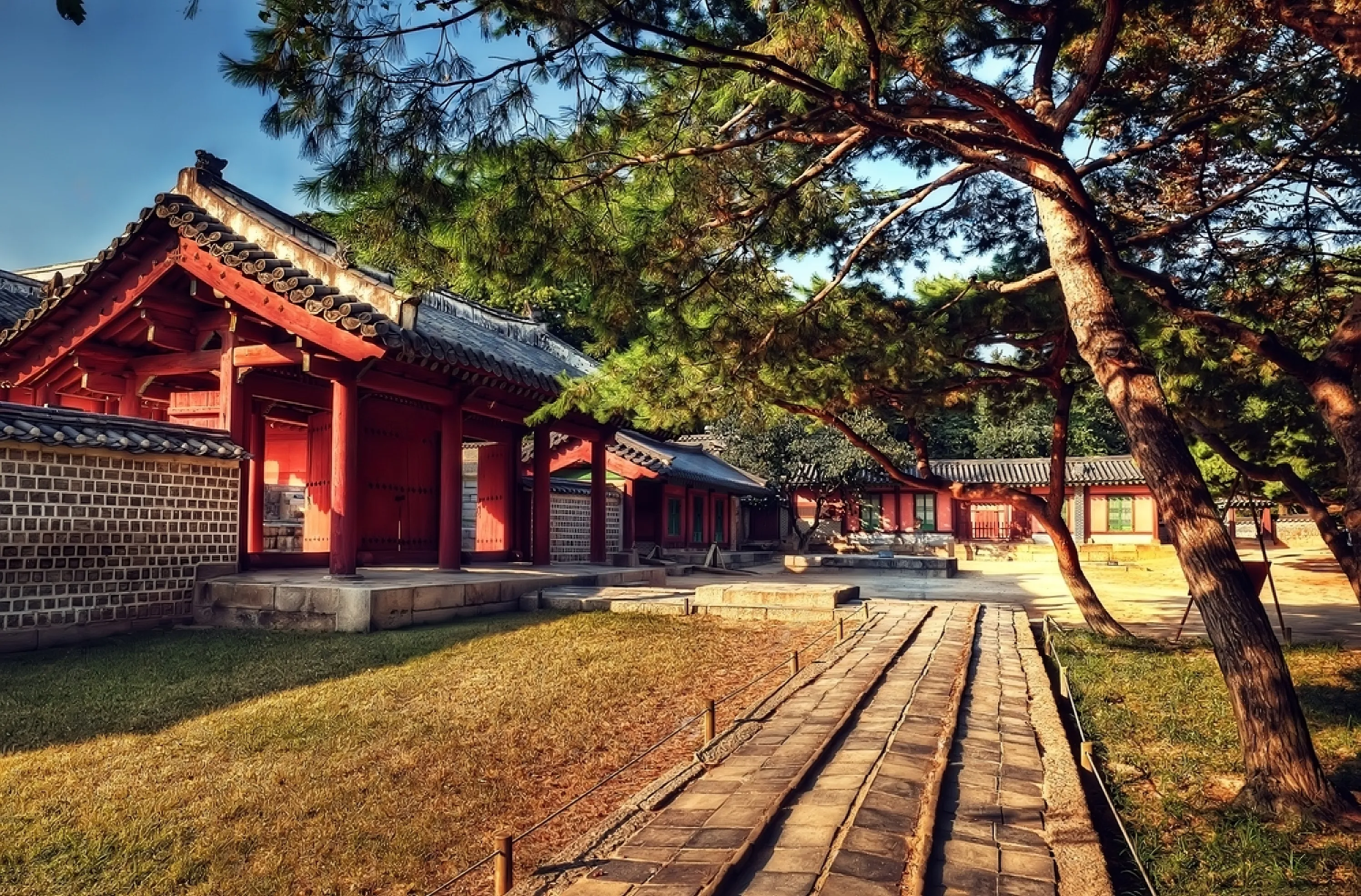 Culture & Cuisine: A 5-Day Journey through Seoul's Delights w8w5my