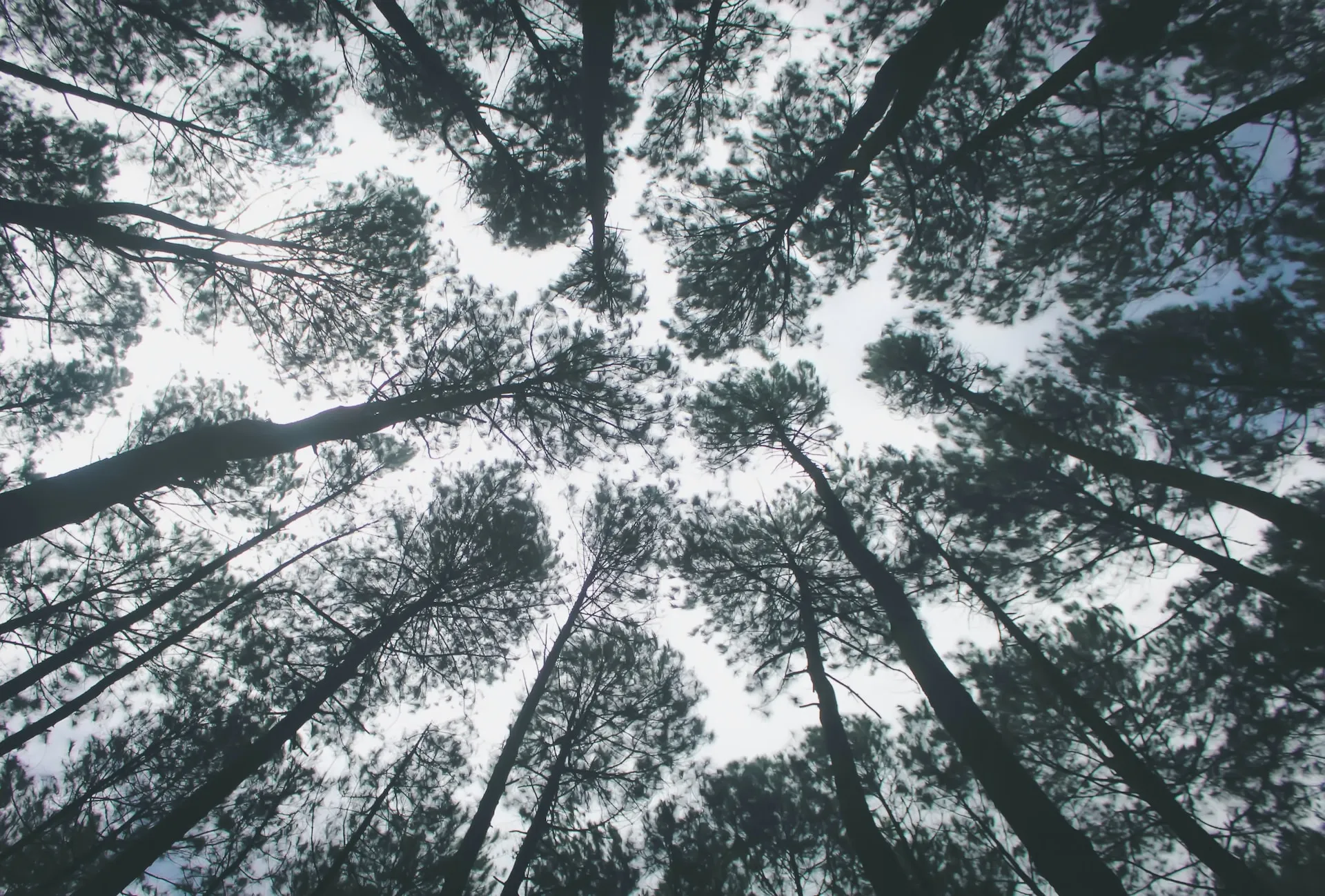 Journey Through the Heart of Java: Unforgettable 4 days in Yogyakarta ljhrfn