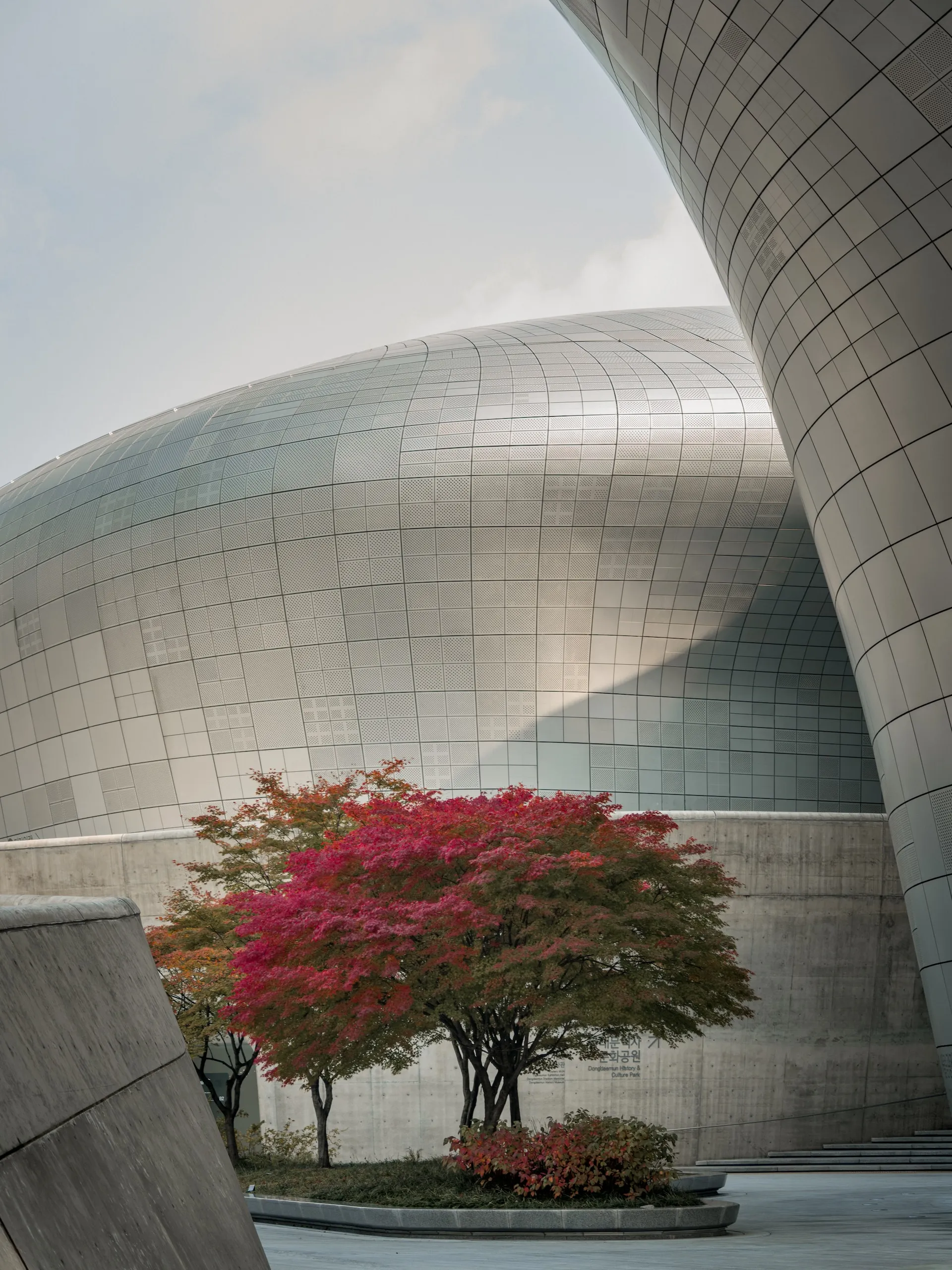 Uncovering the Wonders of Seoul: A 3-Day Adventure sore48