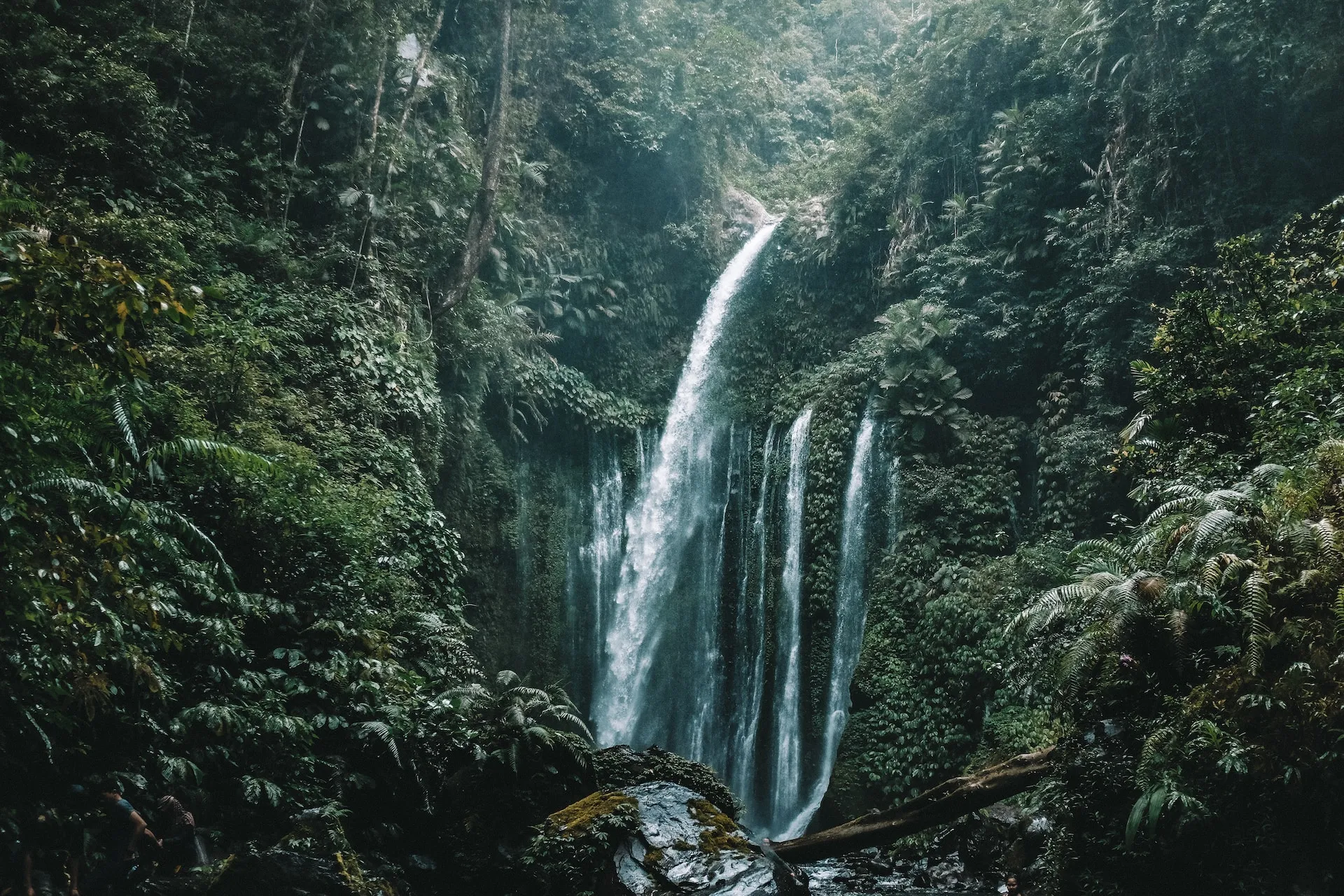2 days Uncovering the Natural Beauty and Cultural Diversity of Lombok Island vin06z