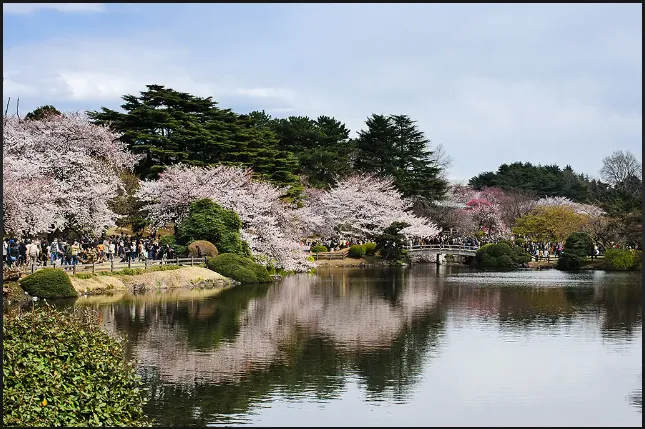 Discovering the Wonders of Tokyo: A 3-Day Adventure for First-Time Travellers wrymk6