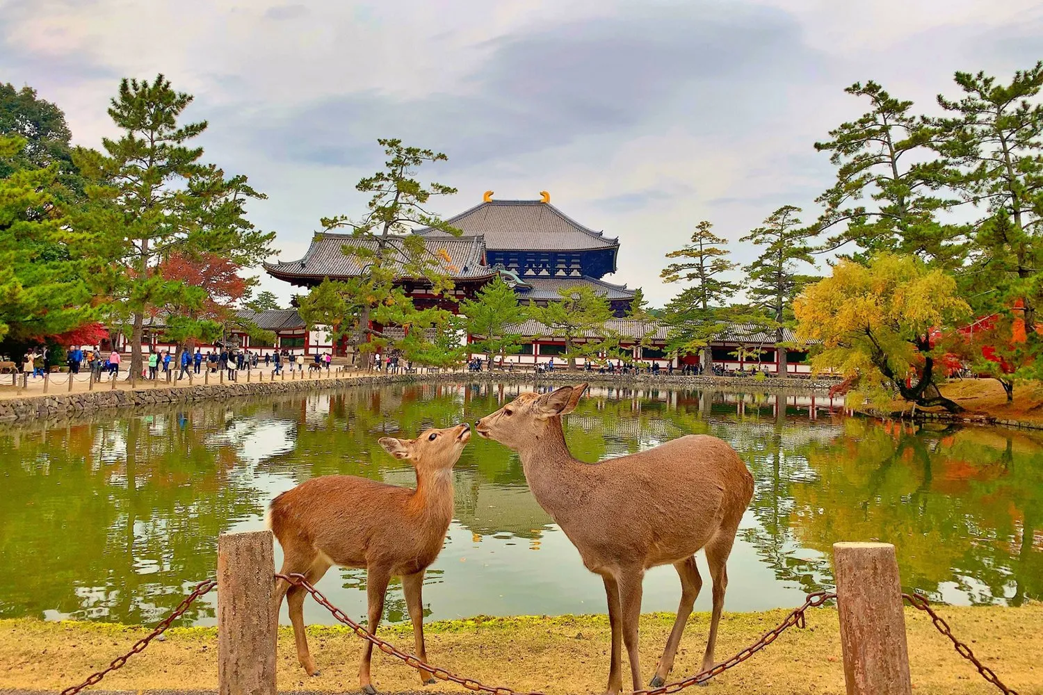 15 days to Tokyo, Osaka and 2 destination (1) uwgz7j