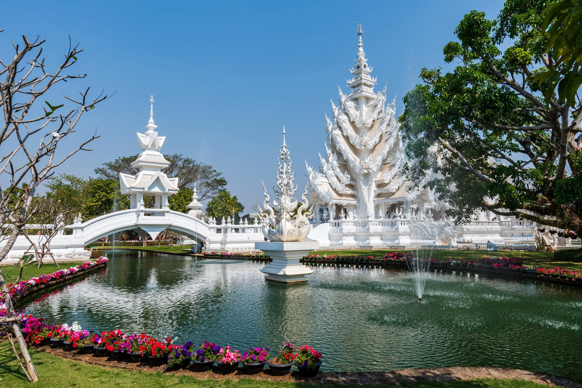 3-Day Chiang Rai Itinerary: Temples, Tea, and Thailand's Northern Charm Unveiled! viw9lg