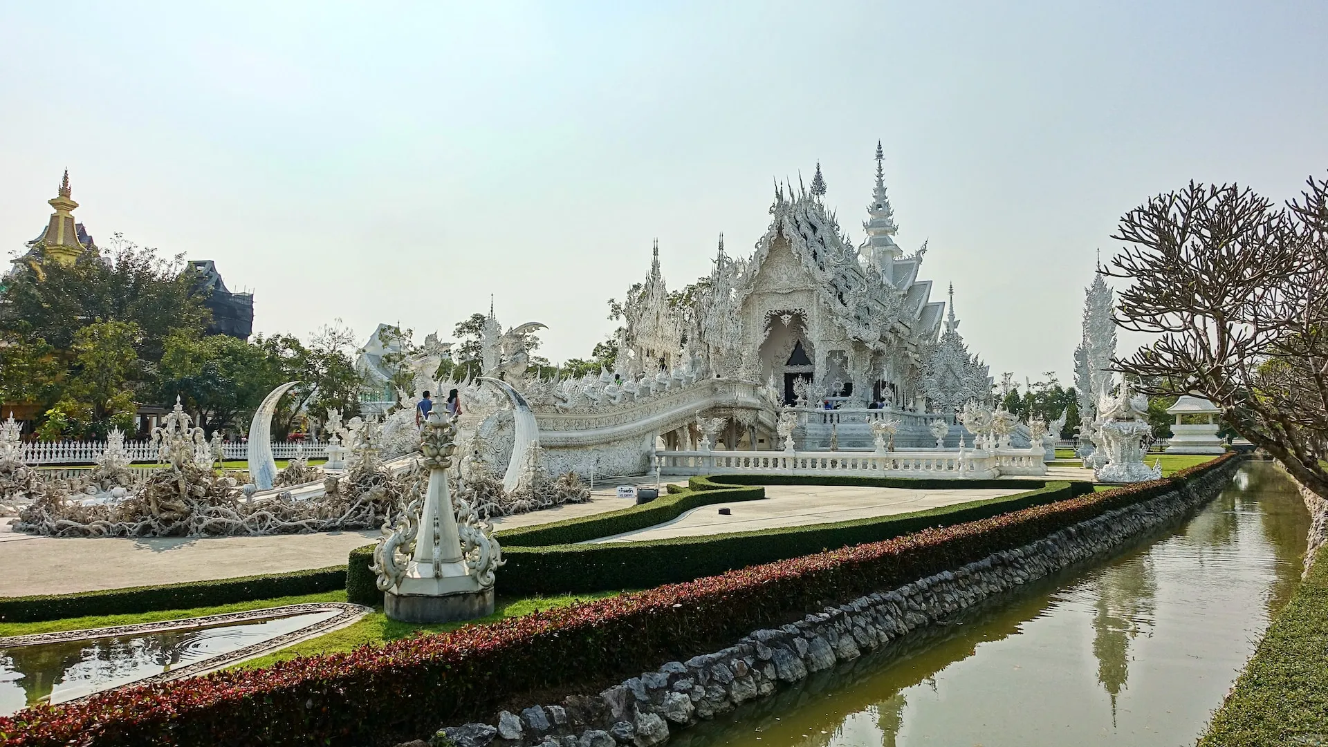 2-Day Chiang Rai Itinerary: Golden Temples, Tea Plantations, and Thai Treasures Unveiled! wn1tt5