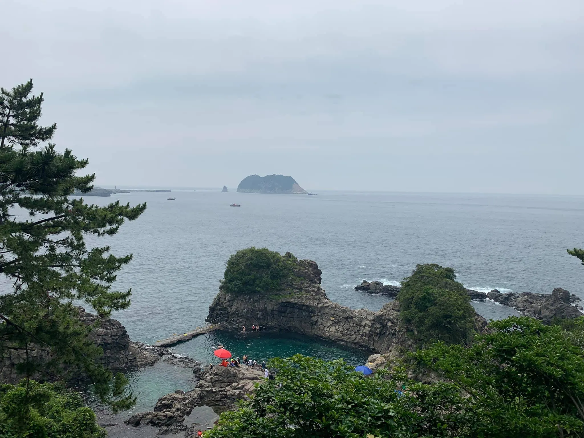 4 days to Jeju 483tww