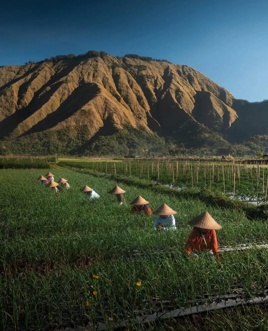 3 days to Lombok egovnf