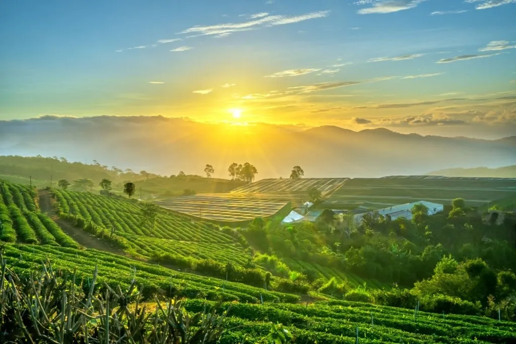 Kevin's personal recommendation for places in Danang/ Hoi An jfe58t