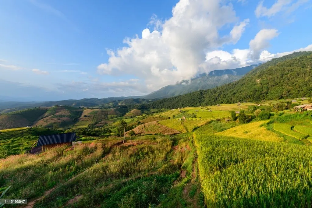 Kevin's personal recommendation for places in Danang/ Hoi An jfe58t