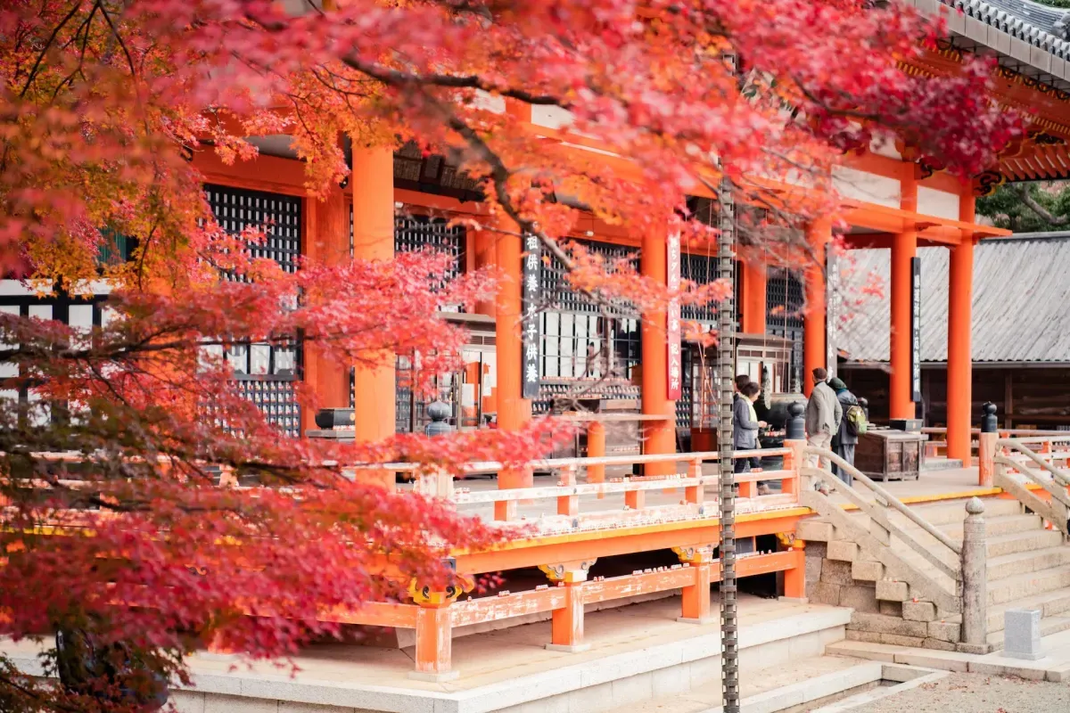 https://api.holicay.com/uploads/large_31ddb43d-webp-pexels-satoshi-hirayama-3322918.webp