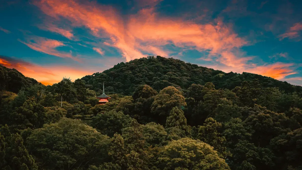 https://api.holicay.com/uploads/large_4a870498-webp-olivier-groen-2fPMQeH1e3E-unsplash.webp