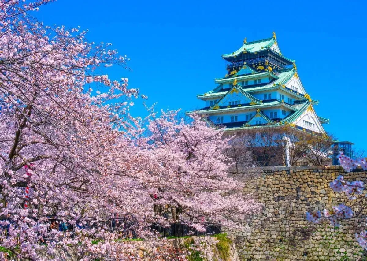 https://api.holicay.com/uploads/large_7-day-itinerary-osaka_key_2f5b248541.webp