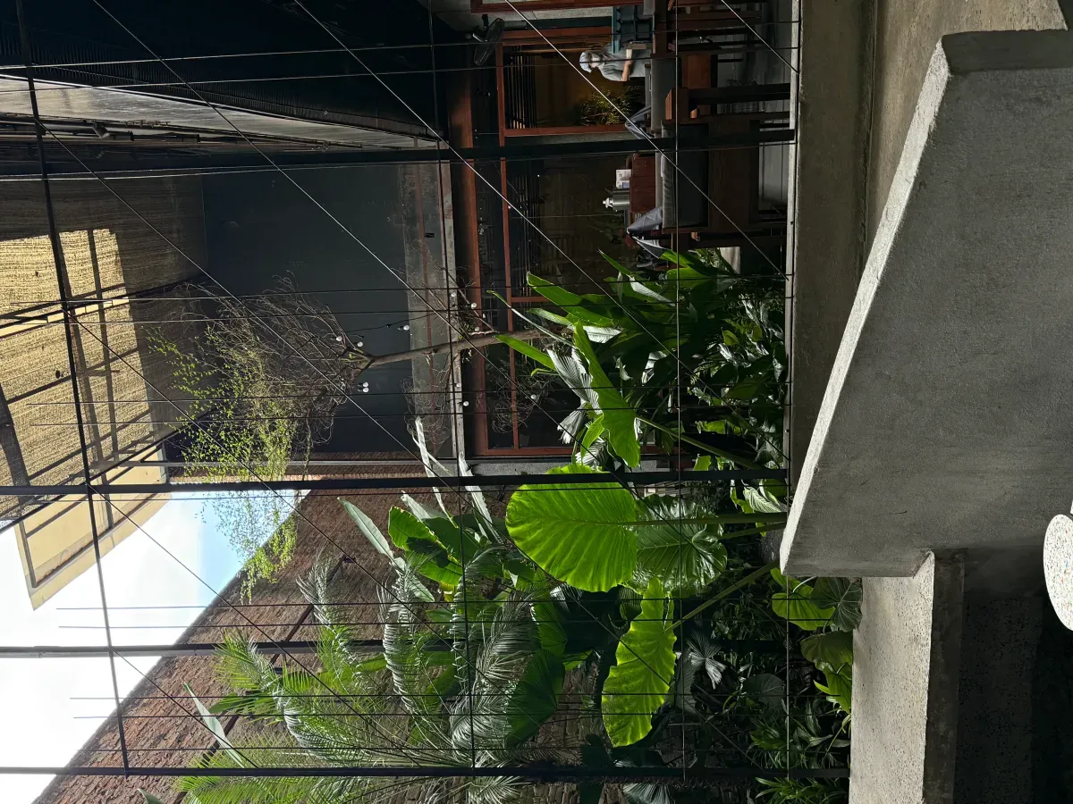 https://api.holicay.com/uploads/large_IMG_0394_5d3c932665.webp