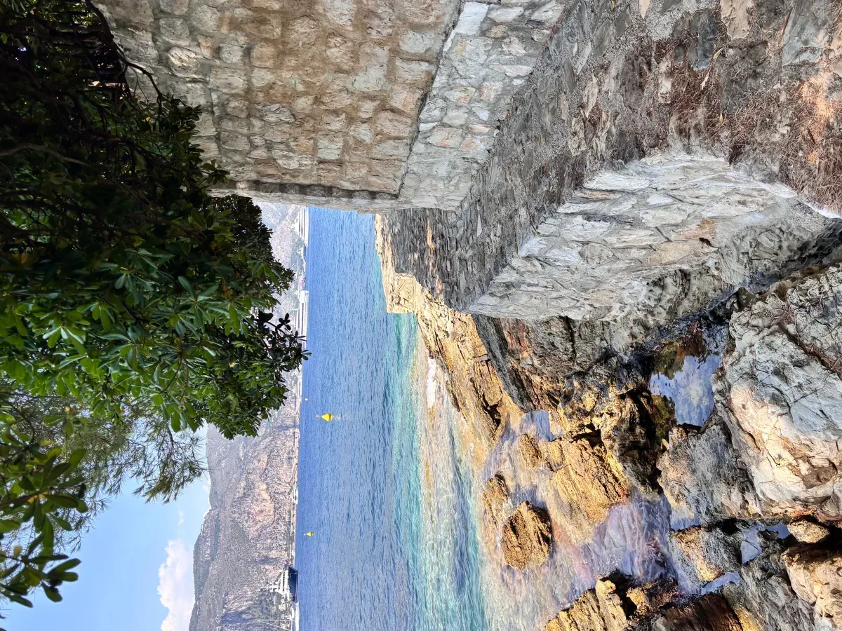 https://api.holicay.com/uploads/large_IMG_4629_f5ad80d918.webp