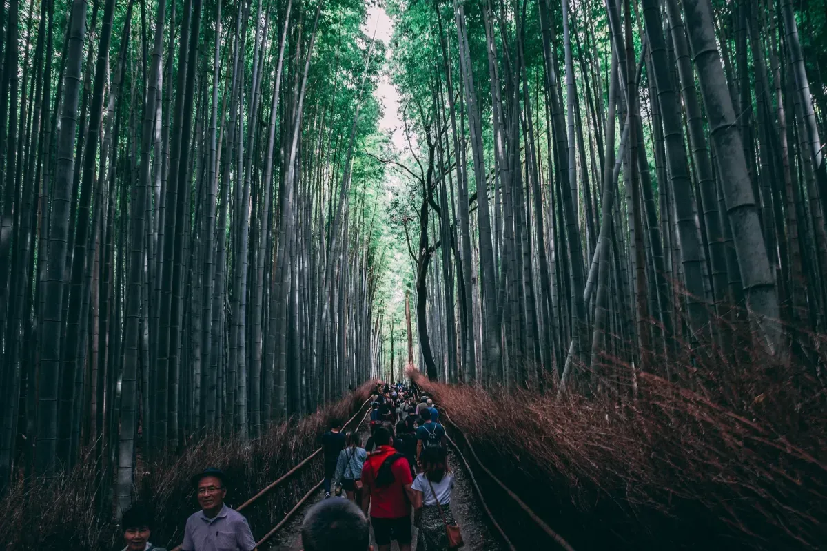 https://api.holicay.com/uploads/large_a2713205-webp-jc3211-OAjxfJAKtyk-unsplash.webp